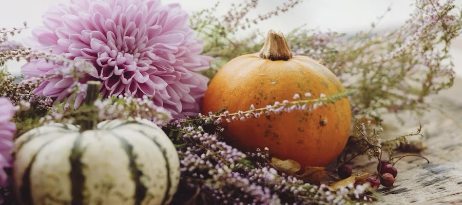 pumpkins and flowers